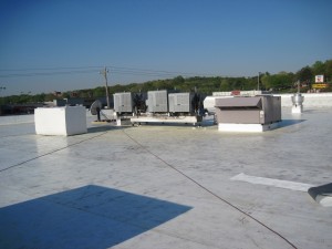 Bi Lo Fort O Commercial Roofing Project           